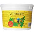 Lafeber Classic Nutri-Berries Parrot Food - 3.25 lb Bucket Discount