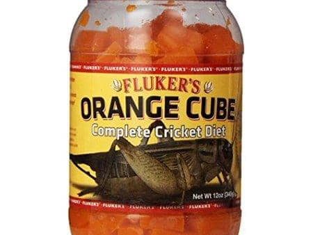 Fluker s Orange Cube Cricket Diet Sale