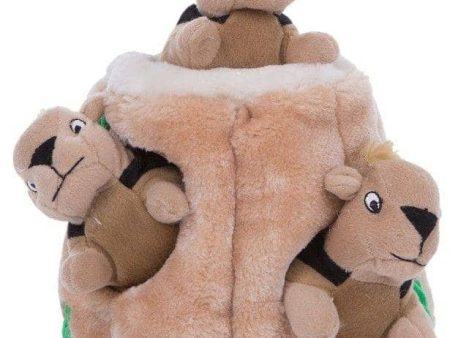 Outward Hound Plush Hide-A-Squirrel Puzzle Dog Toy - 1 count Hot on Sale