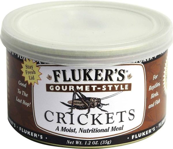 Fluker s Gourmet Style Canned Crickets Discount