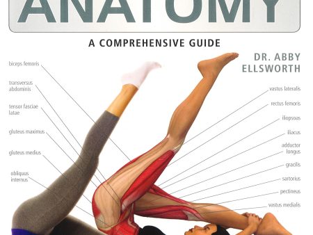 Pilates Anatomy Sale